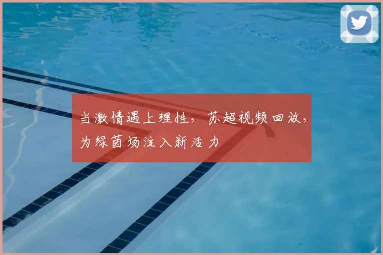 当激情遇上理性，苏超视频回放，为绿茵场注入新活力